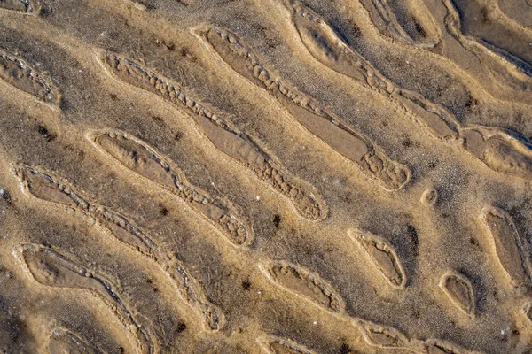 Sand Texture Beach Baltic Sea — Stock Photo, Image