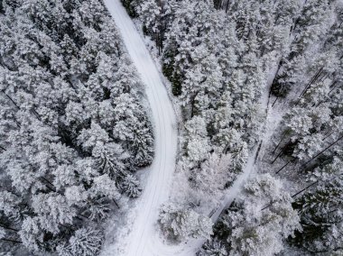 kışın karlı ağaçları ile orman alanının havadan görünümü