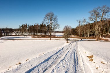 kar kış yol lastik izleri ile kaplı