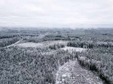 kışın karlı ağaçları ile orman alanının havadan görünümü