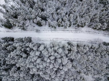kışın karlı ağaçları ile orman alanının havadan görünümü