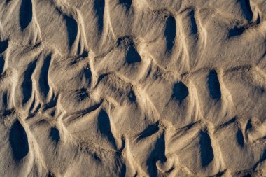 Baltık Denizi, sahilde kum doku