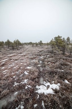 Bataklığı, Letonya'karlı Trail doğal görünümü 