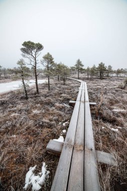 Bataklığı, Letonya'karlı Trail doğal görünümü 