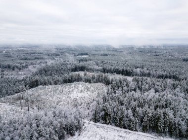 kışın karlı ağaçları ile orman alanının havadan görünümü