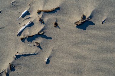 Baltık Denizi, sahilde kum doku