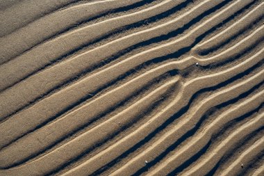 Baltık Denizi, sahilde kum doku