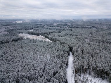 kışın karlı ağaçları ile orman alanının havadan görünümü