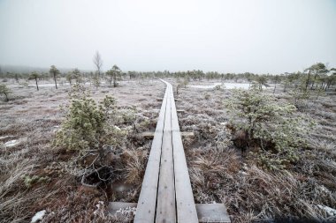 Bataklığı, Letonya'karlı Trail doğal görünümü 