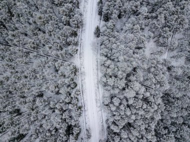 kışın karlı ağaçları ile orman alanının havadan görünümü