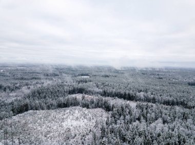 kışın karlı ağaçları ile orman alanının havadan görünümü