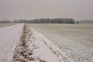 kar kış yol lastik izleri ile kaplı