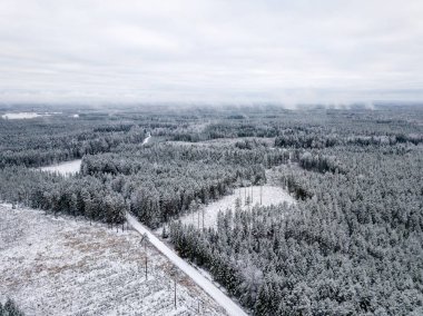 kışın karlı ağaçları ile orman alanının havadan görünümü