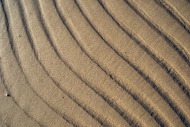 Baltık Denizi, sahilde kum doku