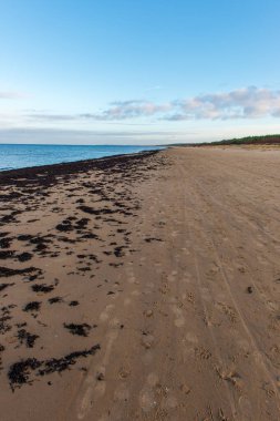 Baltık Denizi, sahilde kum doku