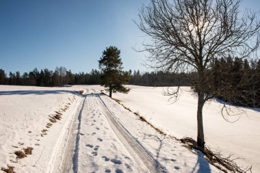 kar kış yol lastik izleri ile kaplı