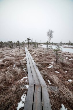 Bataklığı, Letonya'karlı Trail doğal görünümü 