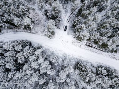 kışın karlı ağaçları ile orman alanının havadan görünümü