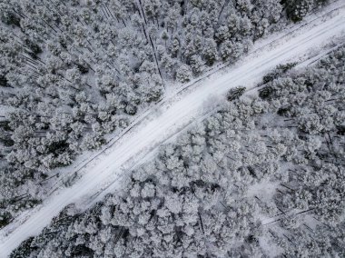 kışın karlı ağaçları ile orman alanının havadan görünümü