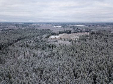 kışın karlı ağaçları ile orman alanının havadan görünümü
