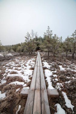 Bataklığı, Letonya'karlı Trail doğal görünümü 