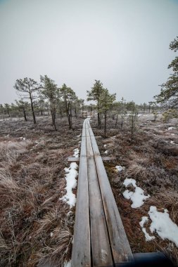 Bataklığı, Letonya'karlı Trail doğal görünümü 