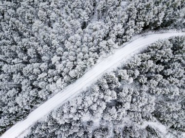 kışın karlı ağaçları ile orman alanının havadan görünümü