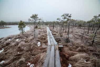 Bataklığı, Letonya'karlı Trail doğal görünümü 