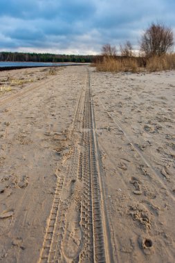 Baltık Denizi, sahilde kum doku