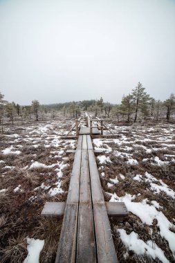 Bataklığı, Letonya'karlı Trail doğal görünümü 