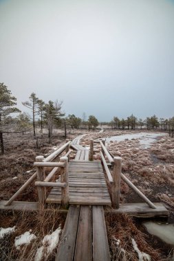 Bataklığı, Letonya'karlı Trail doğal görünümü 