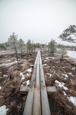 Bataklığı, Letonya'karlı Trail doğal görünümü 