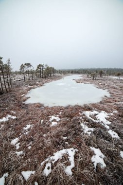 Bataklığı, Letonya'karlı Trail doğal görünümü 