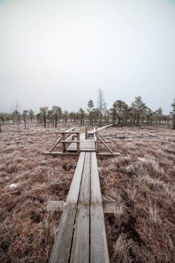 Bataklığı, Letonya'karlı Trail doğal görünümü 