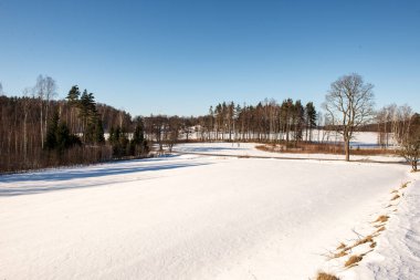 kar kış yol lastik izleri ile kaplı