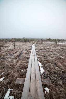 Bataklığı, Letonya'karlı Trail doğal görünümü 
