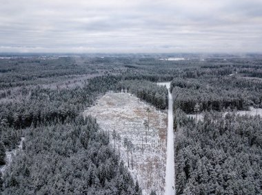 kışın karlı ağaçları ile orman alanının havadan görünümü