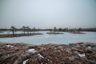 Bataklığı, Letonya'karlı Trail doğal görünümü 