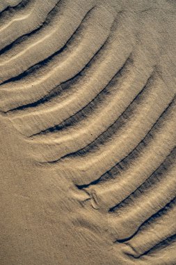 Baltık Denizi, sahilde kum doku