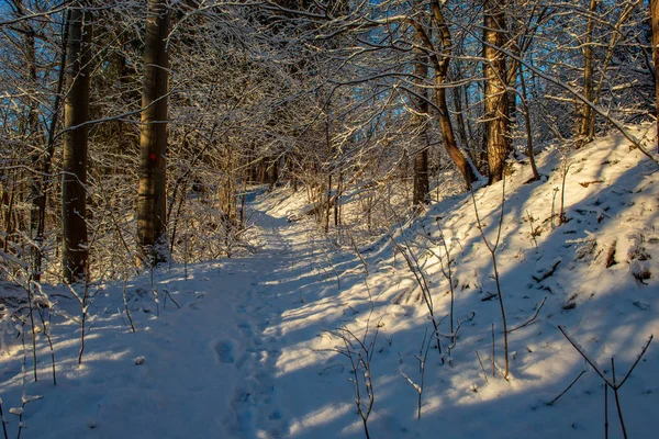 Neve Coberto Estrada Inverno Com Marcas Pneus — Fotografia de Stock