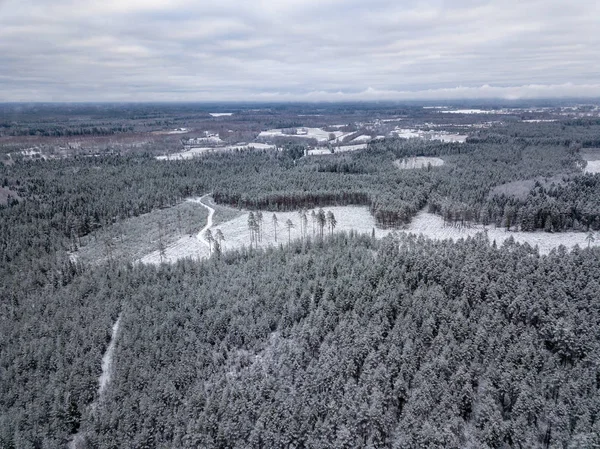 kışın karlı ağaçları ile orman alanının havadan görünümü