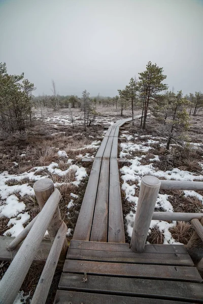 Bataklığı, Letonya'karlı Trail doğal görünümü 