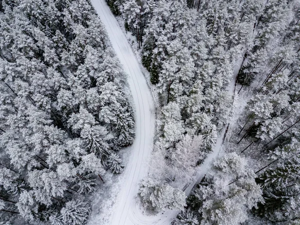 kışın karlı ağaçları ile orman alanının havadan görünümü