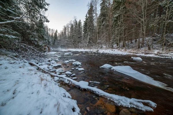 buzla kaplı kışın donmuş nehir