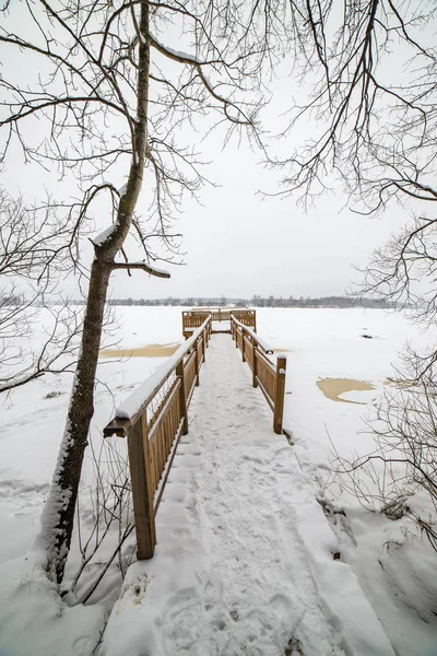 Bataklığı, Letonya'karlı Trail doğal görünümü 