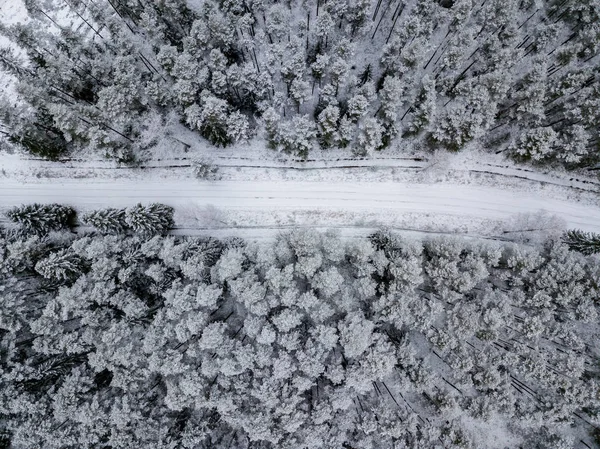 kışın karlı ağaçları ile orman alanının havadan görünümü