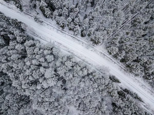 Aerial View Forest Area Winter Snowy Trees — Stock Photo, Image