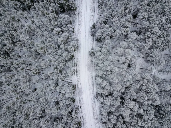 Aerial View Forest Area Winter Snowy Trees — Stock Photo, Image