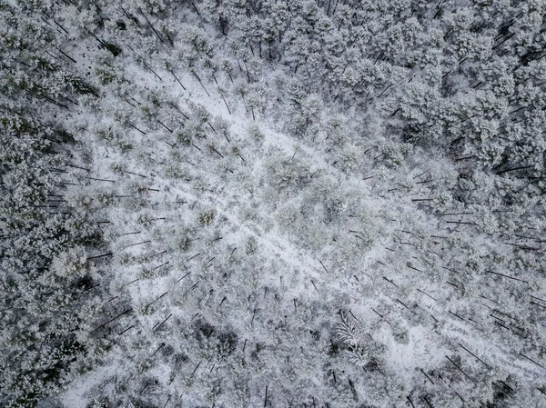 Вид Воздуха Лесные Массивы Зимой Заснеженными Деревьями — стоковое фото