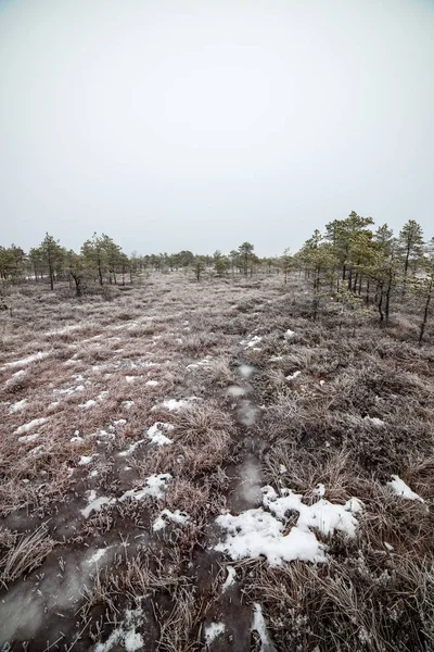 Bataklığı, Letonya'karlı Trail doğal görünümü 